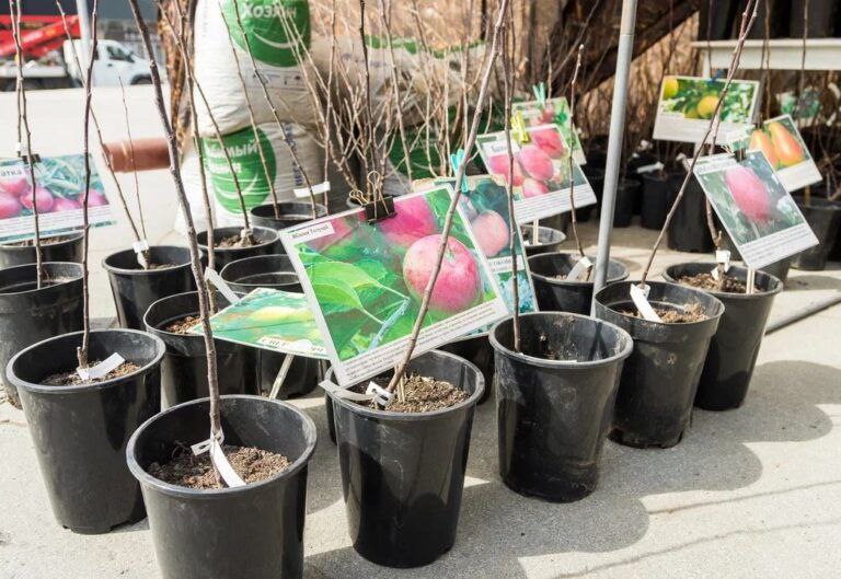 photo_2026-03-15_18-46-57 (3).jpg