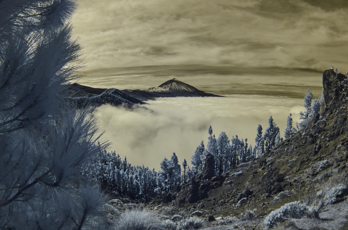 Маттео Редаэлли, Инфракрасный пейзаж сновидений