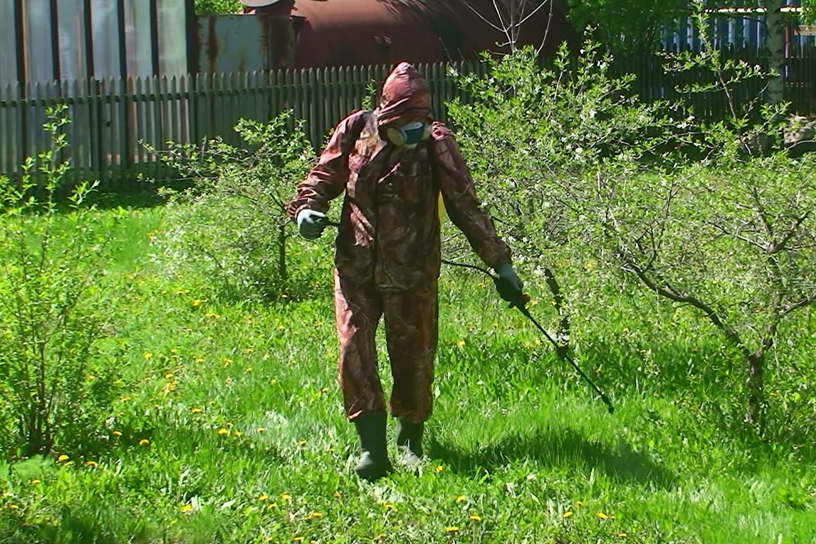 Как бороться с клещами на даче 2.jpg