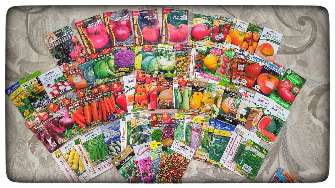 D:\!!!работа\январь\10-11\семена в январе2.jpg