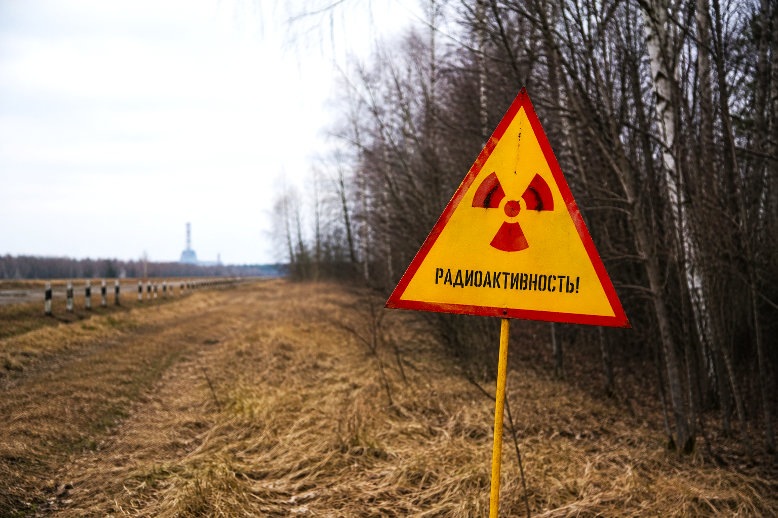 ChatGPT Image 26 апр. 2026 г., 12_24_14.png