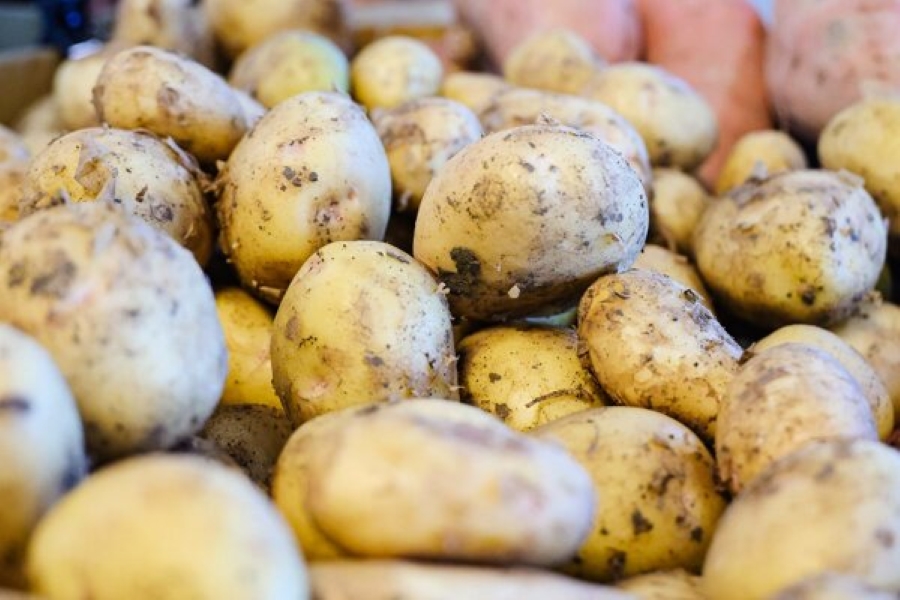 умка картофель