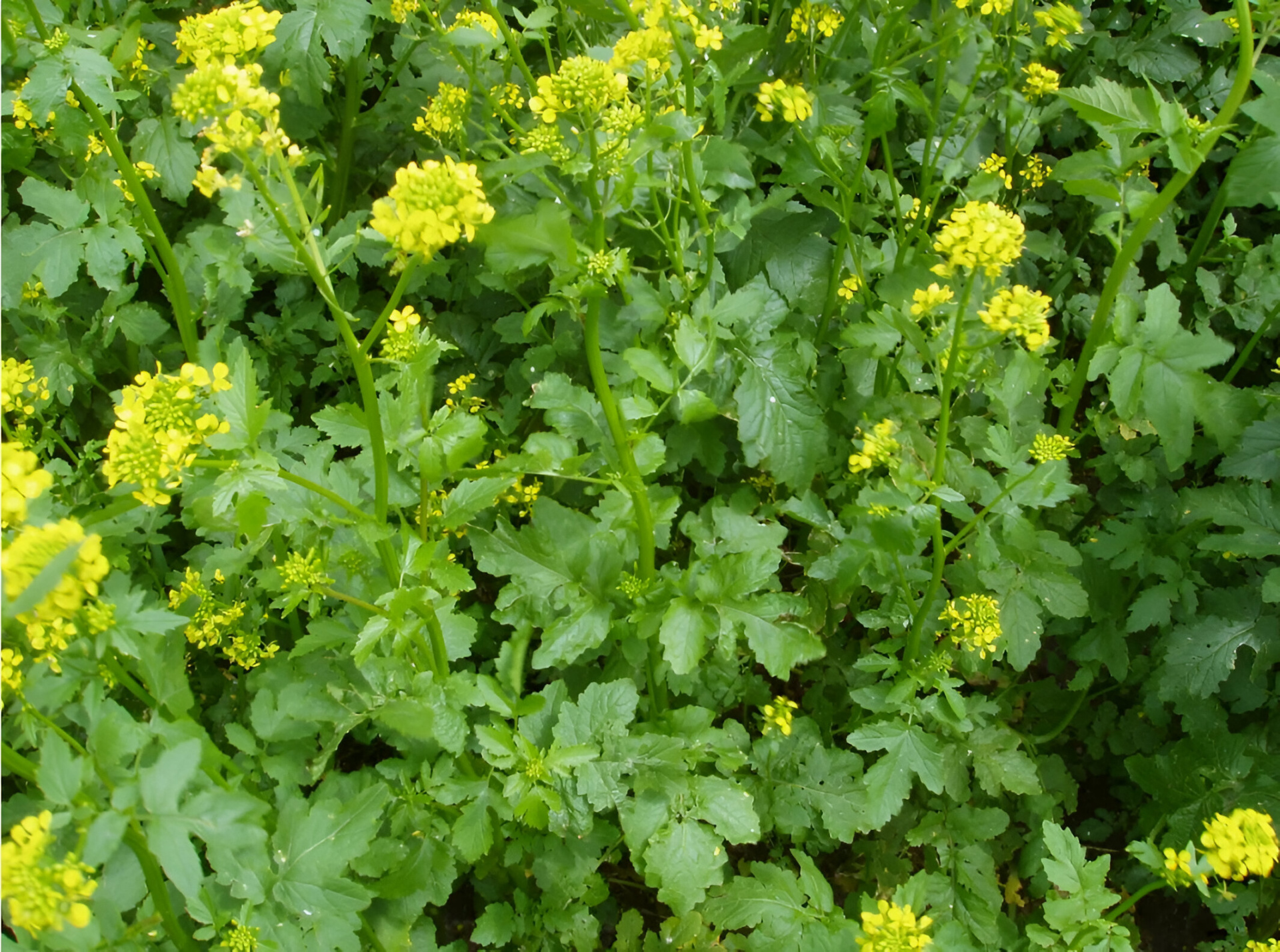 photo_2025-09-11_13-17-13 (2) (1).jpg