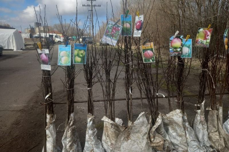 photo_2026-03-15_18-46-57 (4).jpg