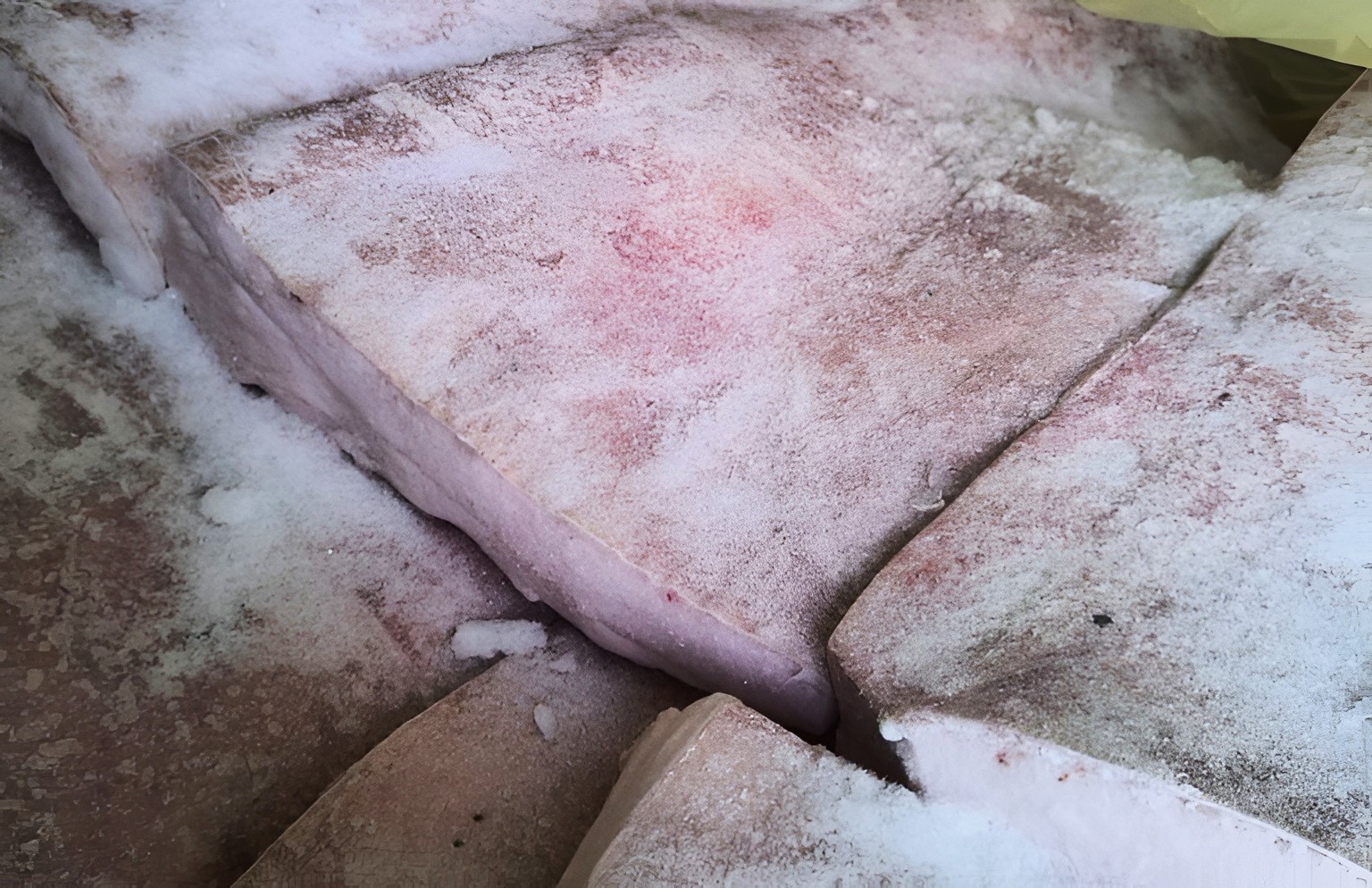 1000013550-1-1-768x497 (1).jpg