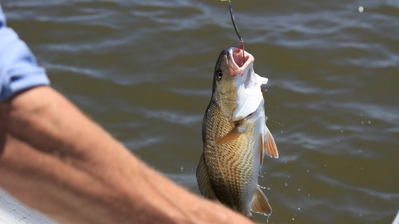 Рыба на крючке