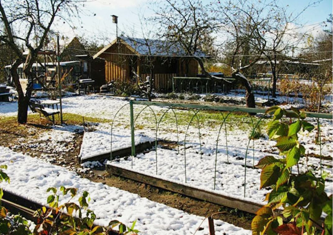 огород в декабре