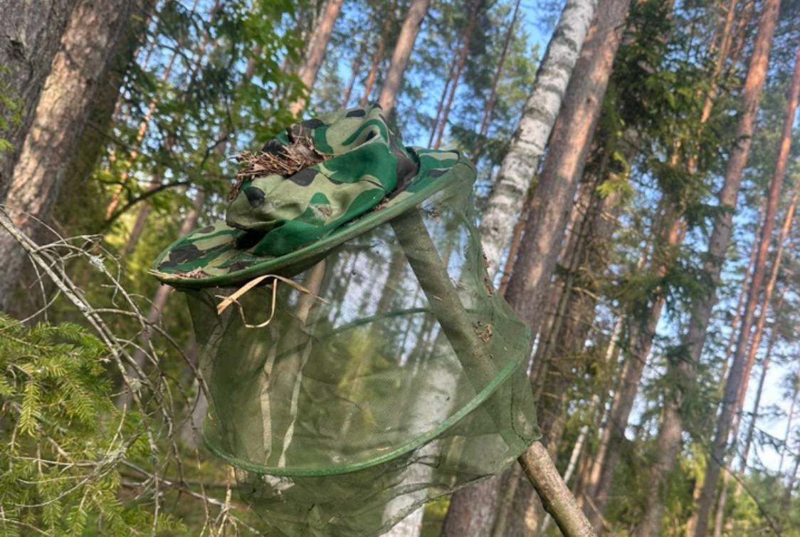 шапка потерявшегося грибника