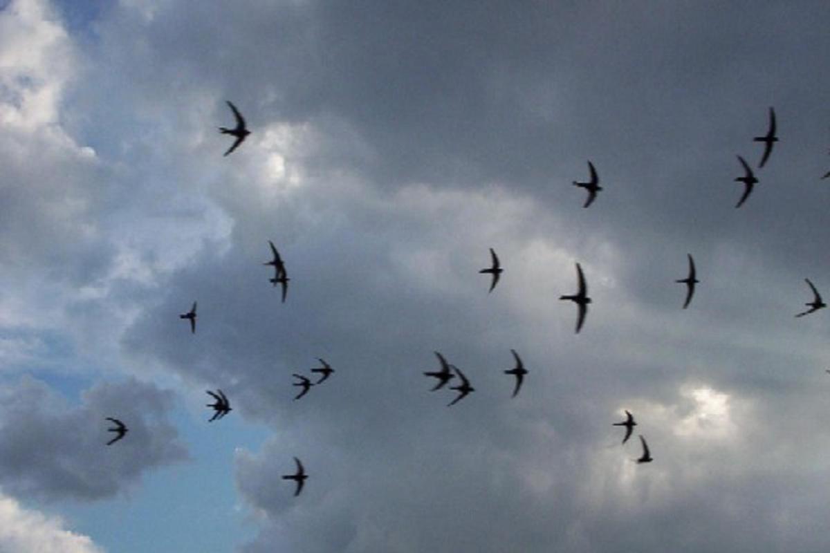 photo_2026-04-19_17-47-18 (4).jpg