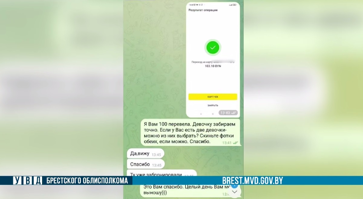 переписка в тг.jpg