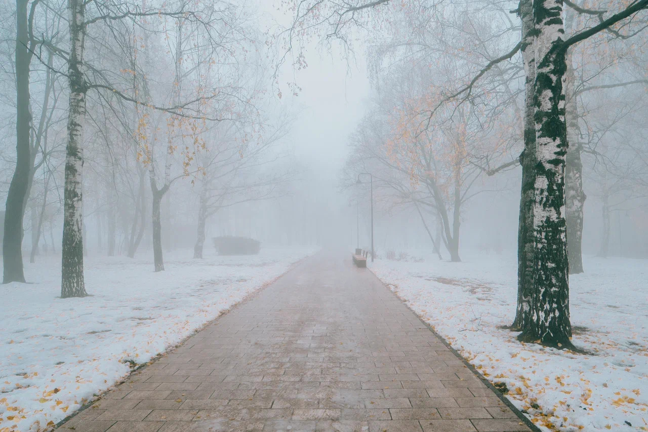 туман в начале зимы