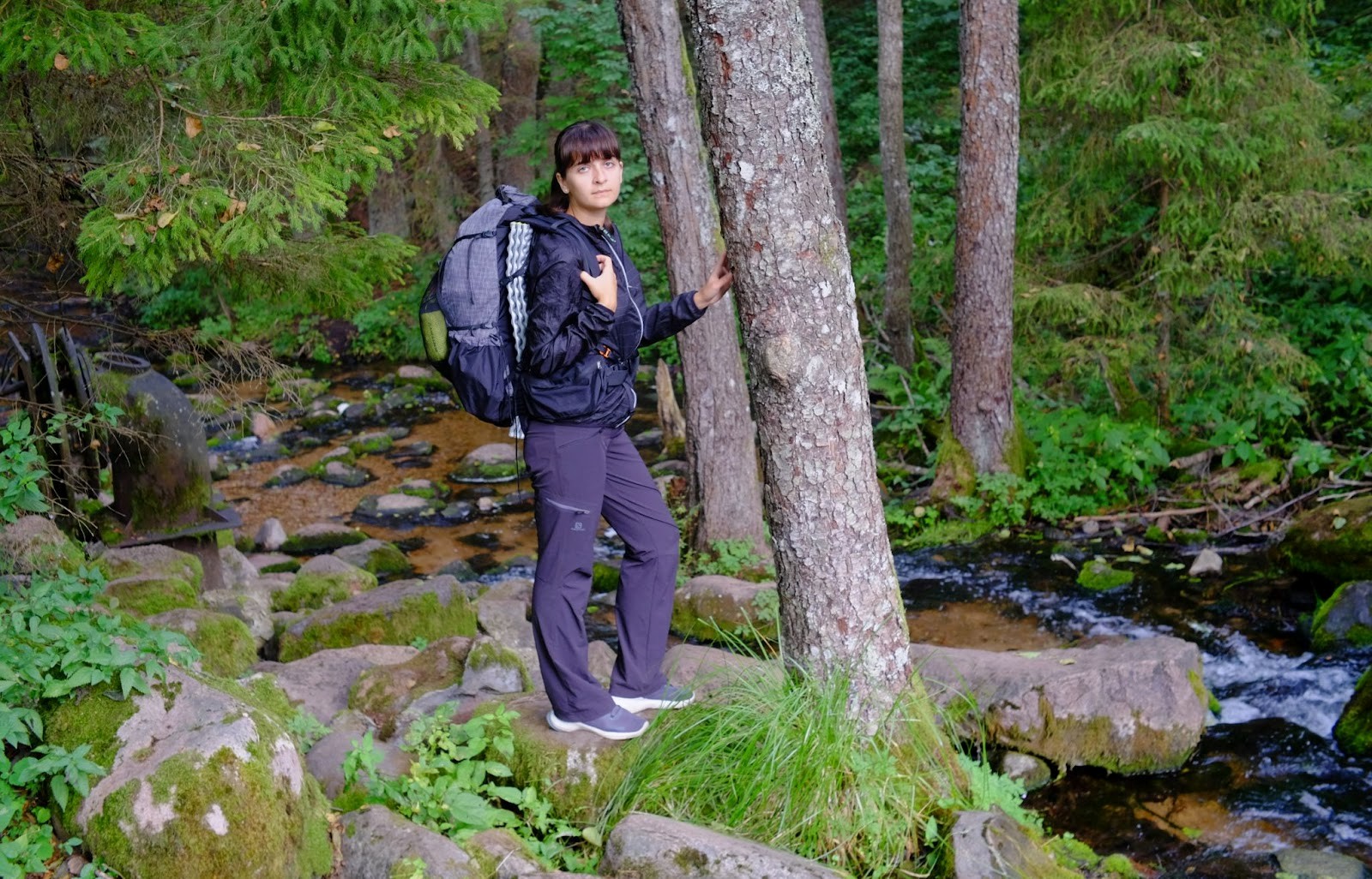 9-Пешие походы по лесу.jpg