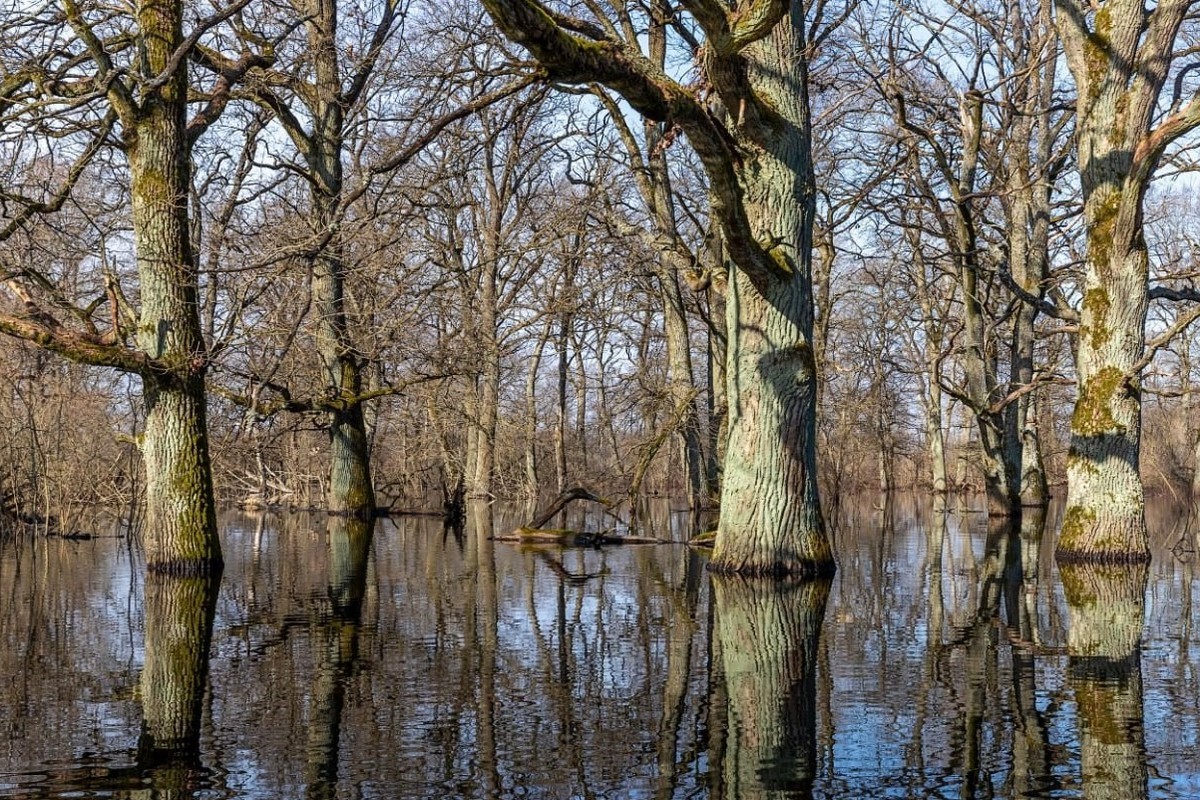 3-Разлив Припяти.jpg