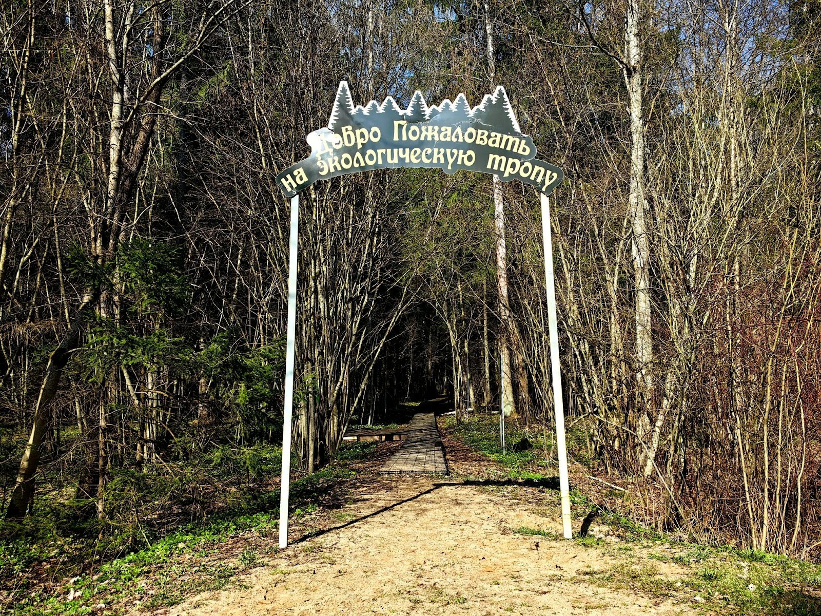 6-Вход на экотропу в Березинском заповеднике.jpg