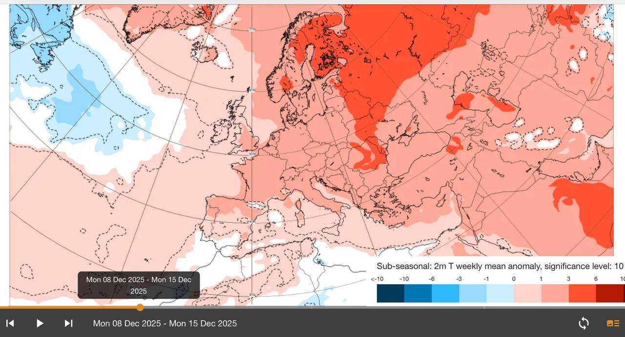 теплый декабрь1.jpg