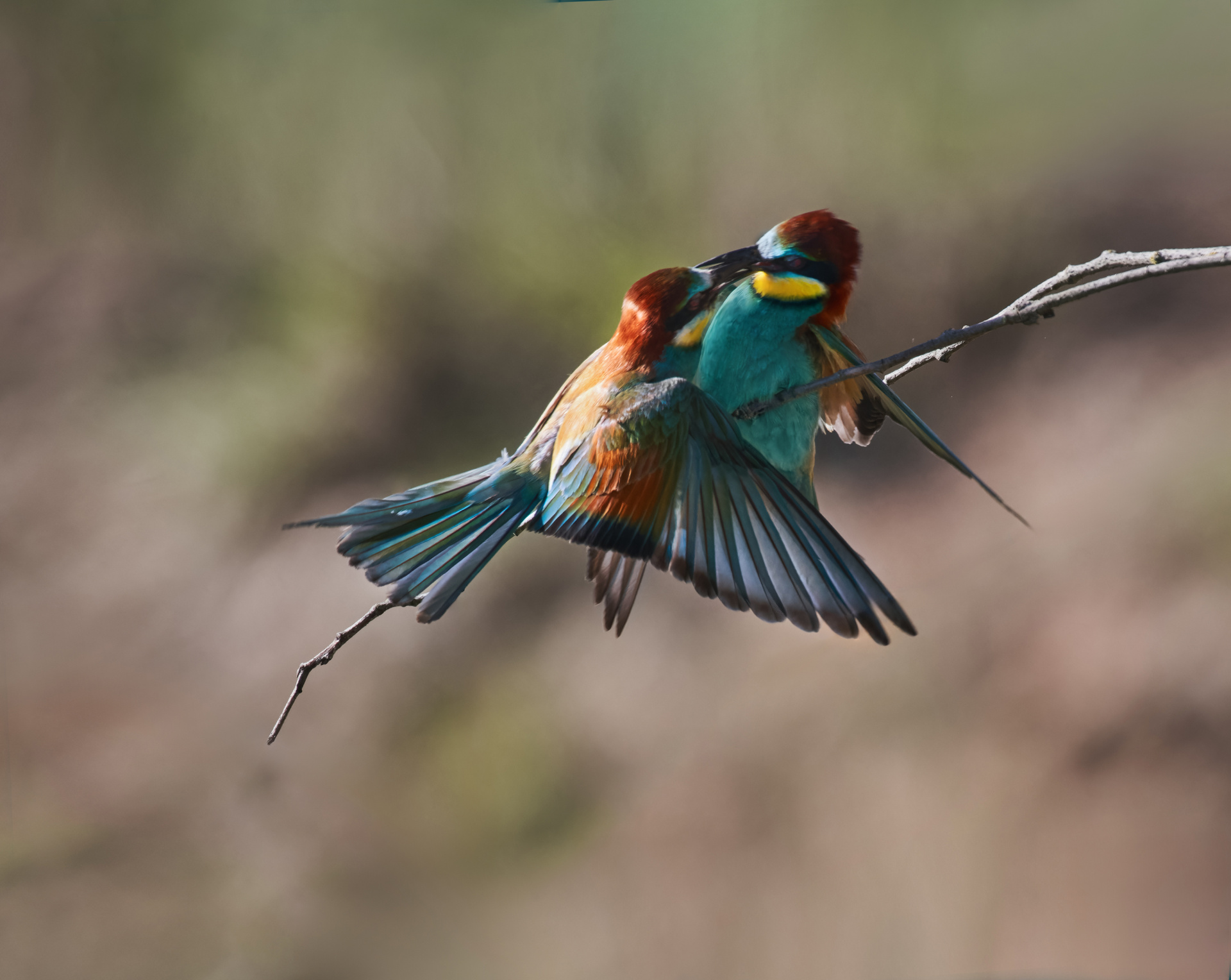 Притяжение