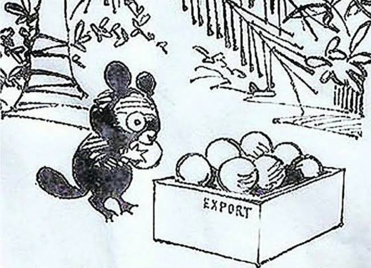 Чебурашка