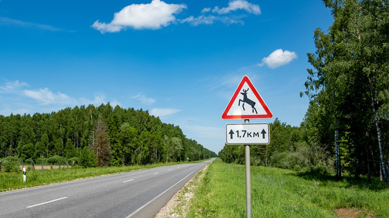 знак, предупреждающий о диких животных