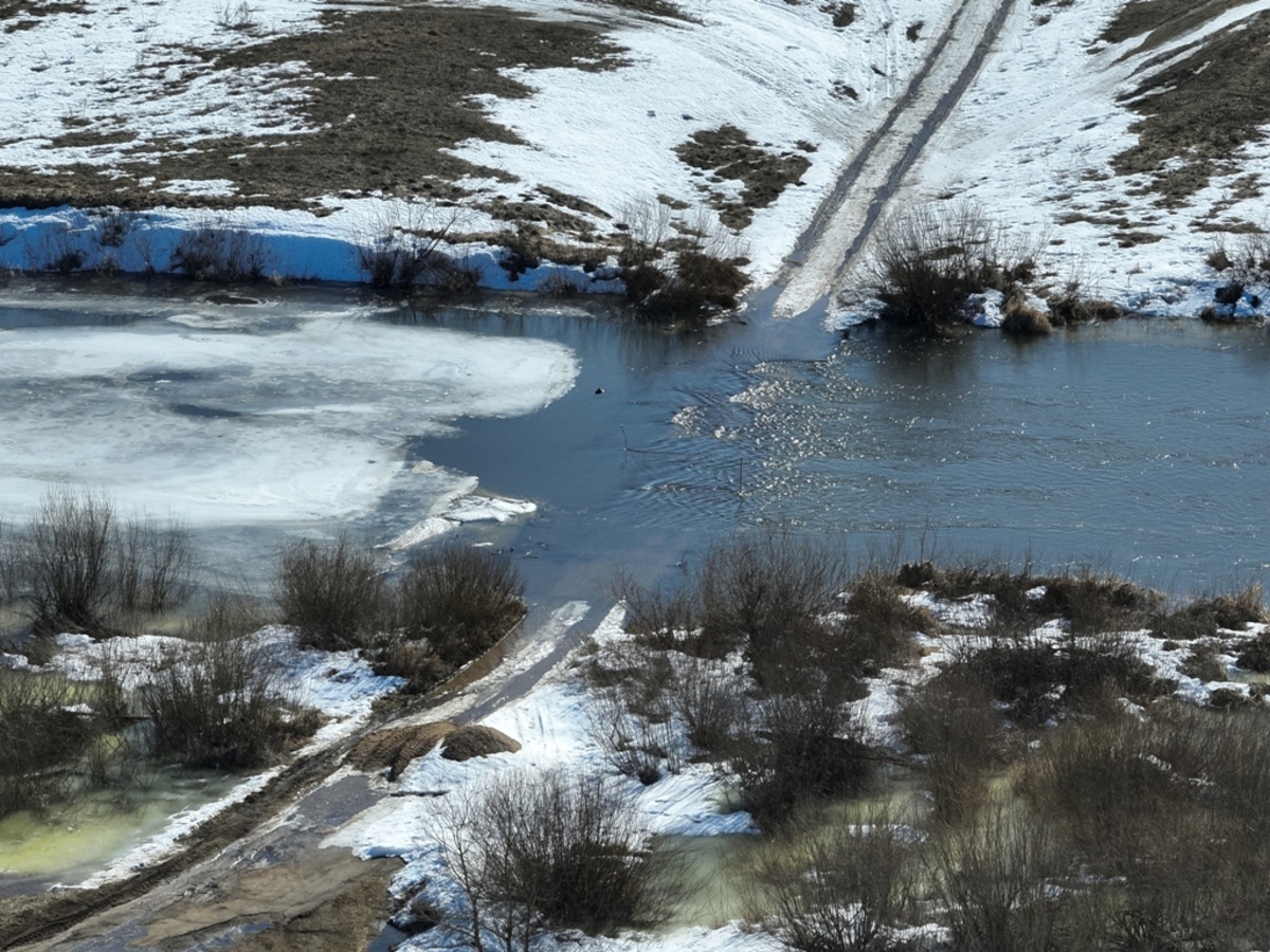 мост ушел под воду в Мстиславском районе