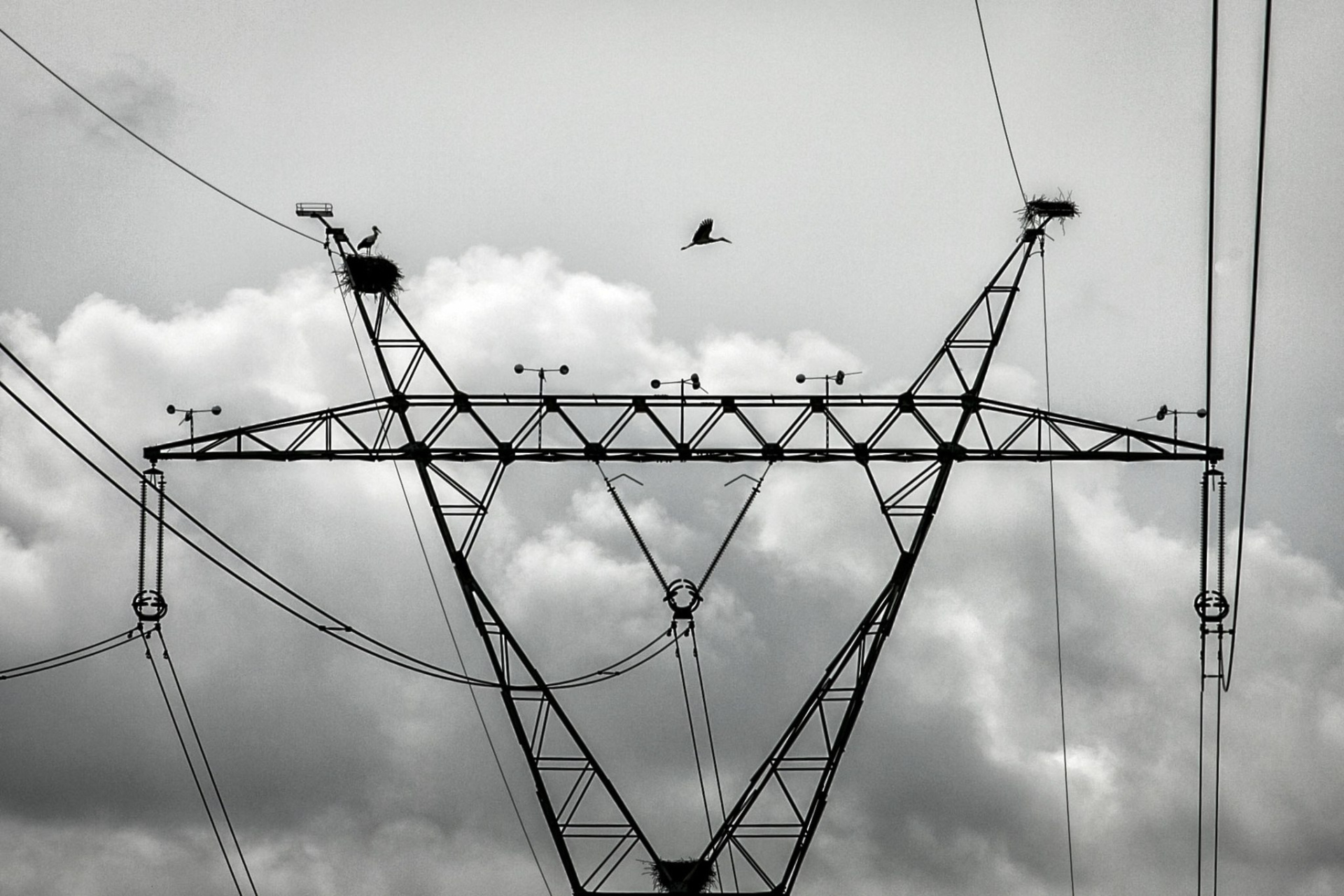 Отключение электричества 