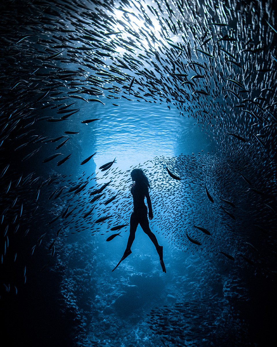 Connecting-Oceans-2nd-Place-James-Ferrara