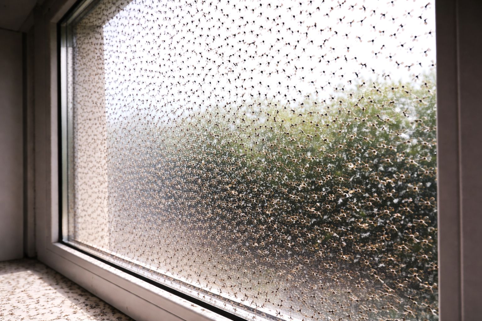 ChatGPT Image 13 мар. 2026 г., 16_39_00.png