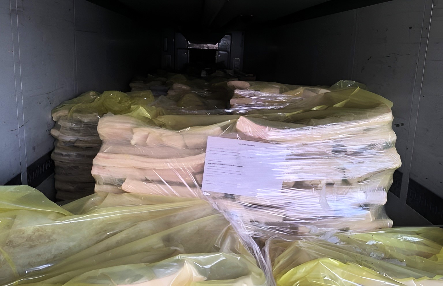 1000013551-1-1-768x497 (1).jpg