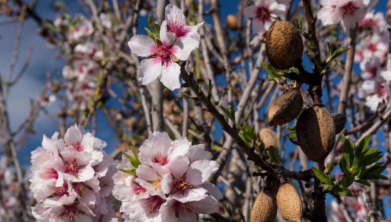 photo_2026-02-01_13-24-16 (3).jpg