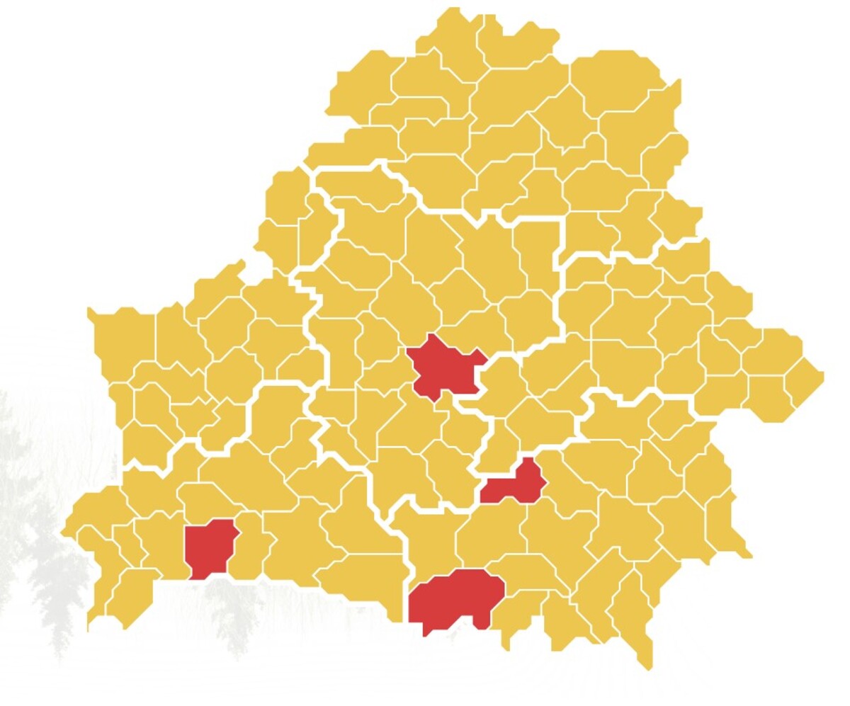запреты на посещение лесов в Беларуси