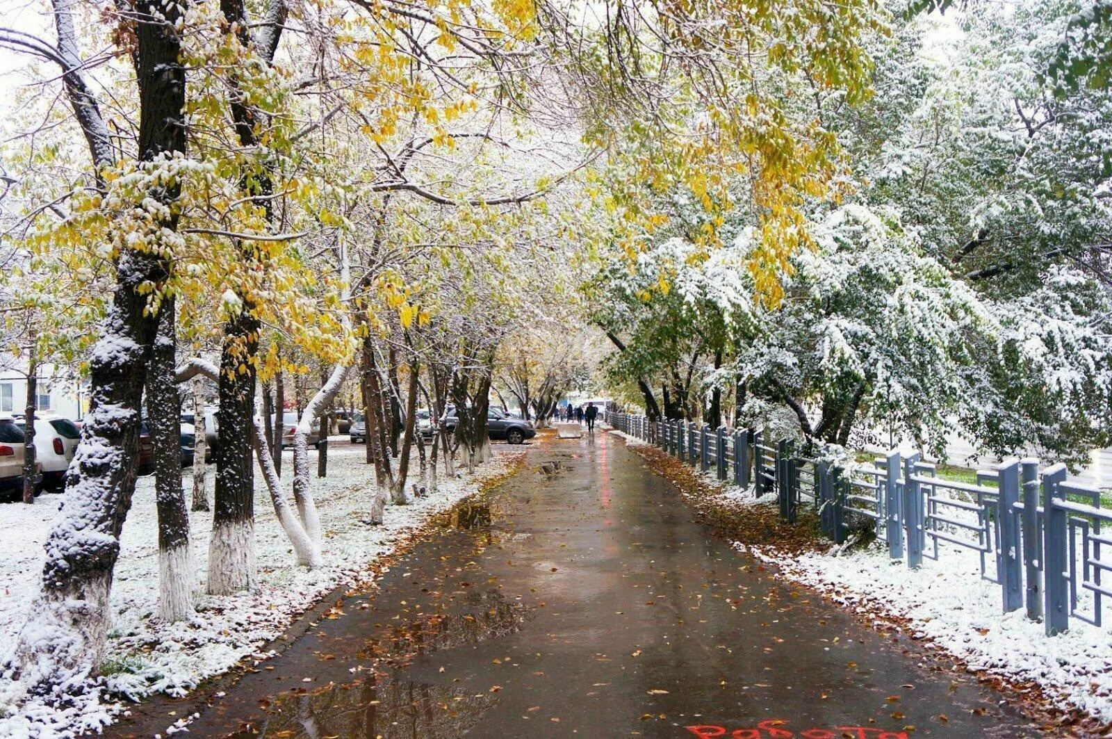 первый снег в октябре первый снег в октябре