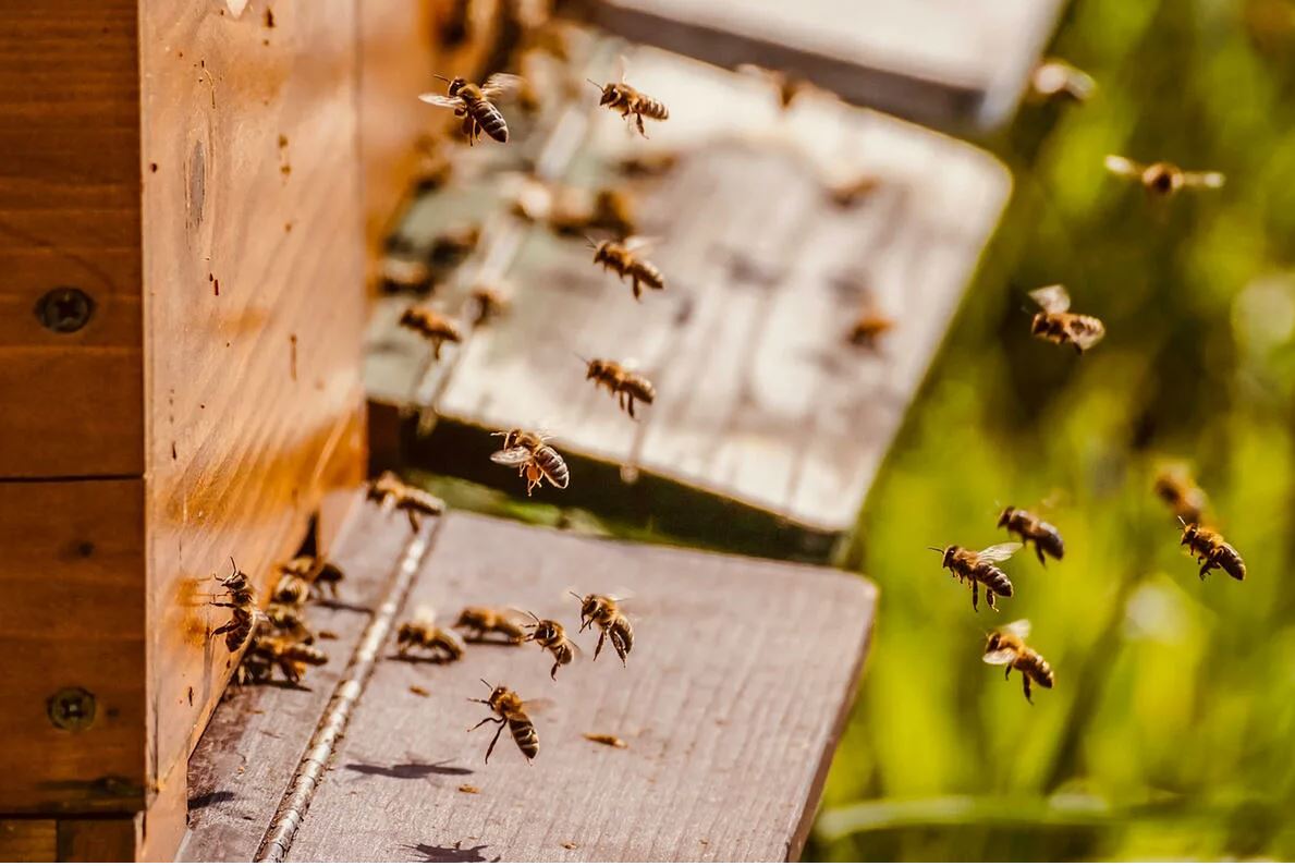 photo_2026-04-19_17-47-18 (2).jpg