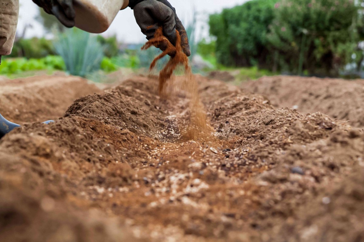 почва почва