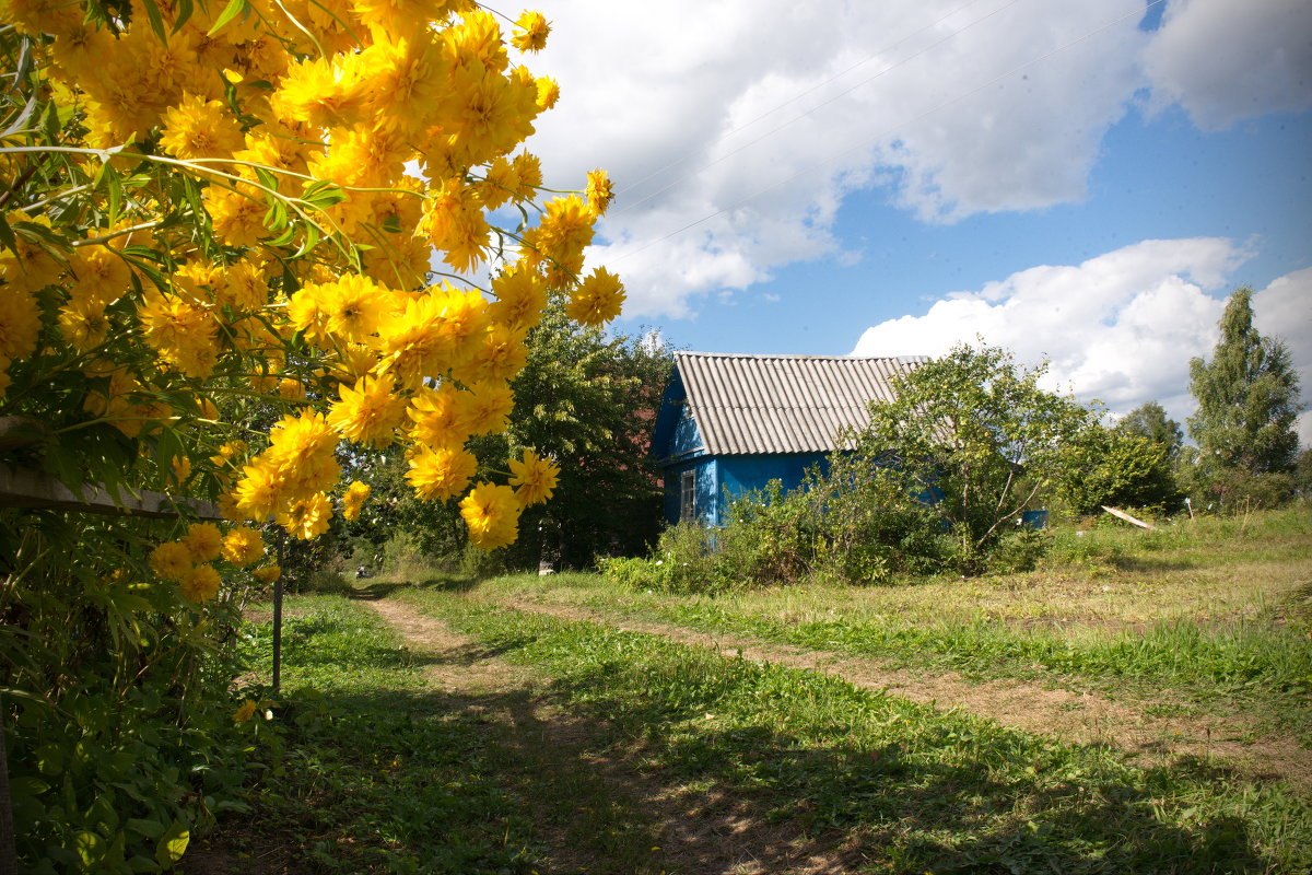 лунный календарь лунный календарь