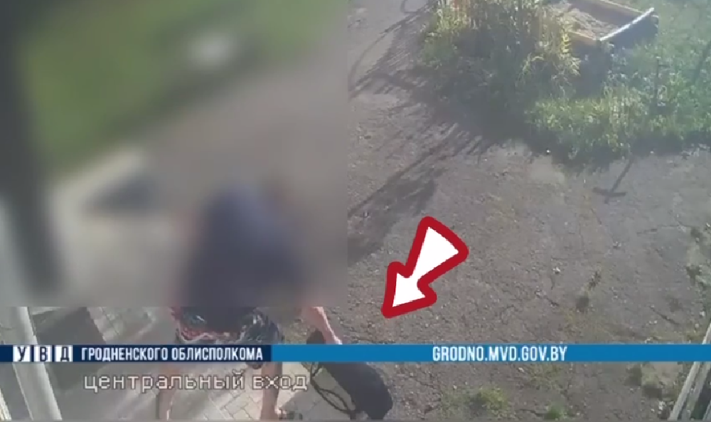 кража скрипки кража скрипки.png