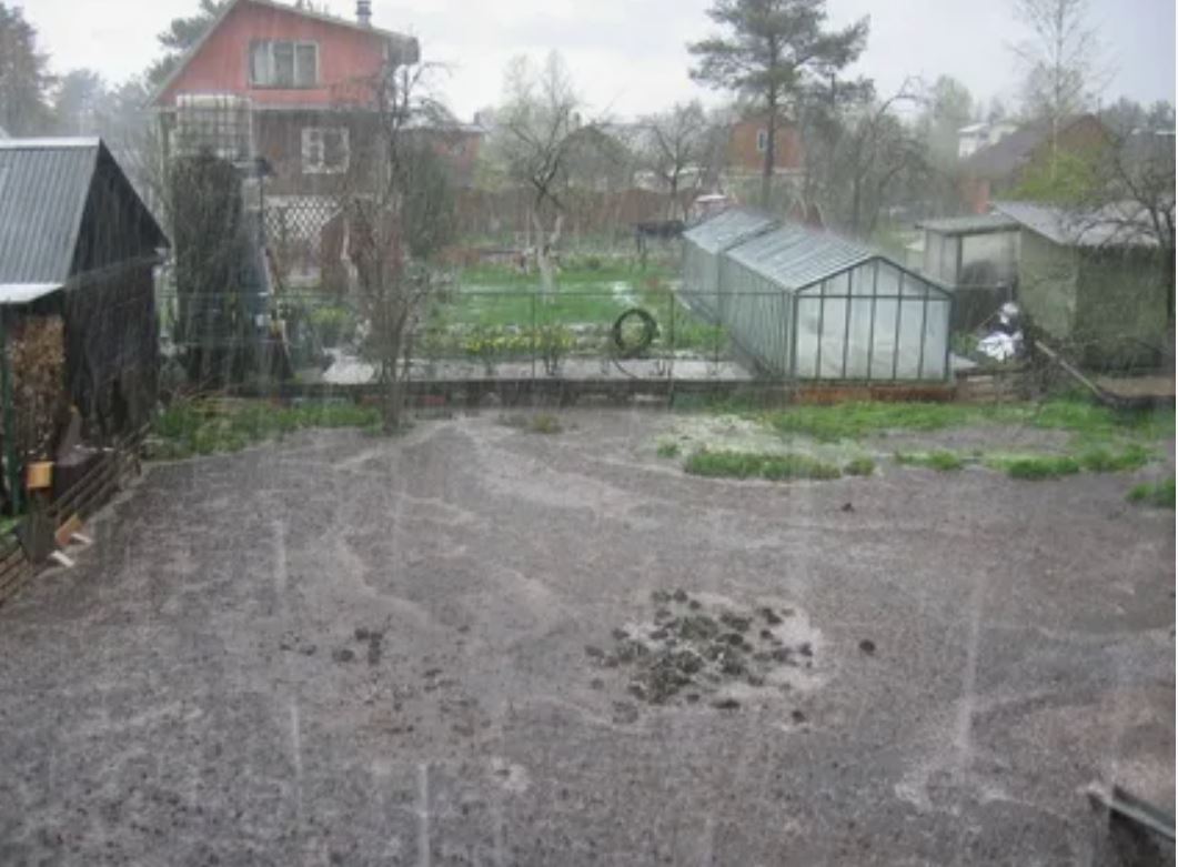 дождь в декабре