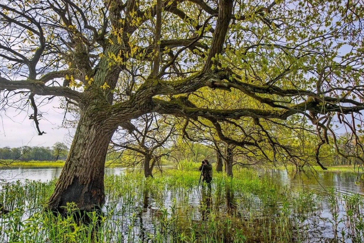 4-Море Геродота.jpg