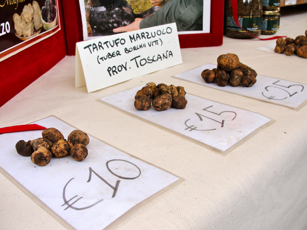 Truffes_de_Toscane,_Tuber_borchii_vitt._ou_Tuber_Albidum_Pico,_dite_truffe_blanche_de_Mars.jpg