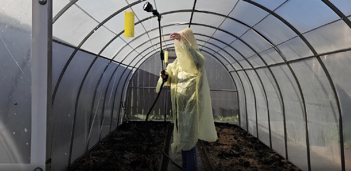 теплица, уборка.jpg