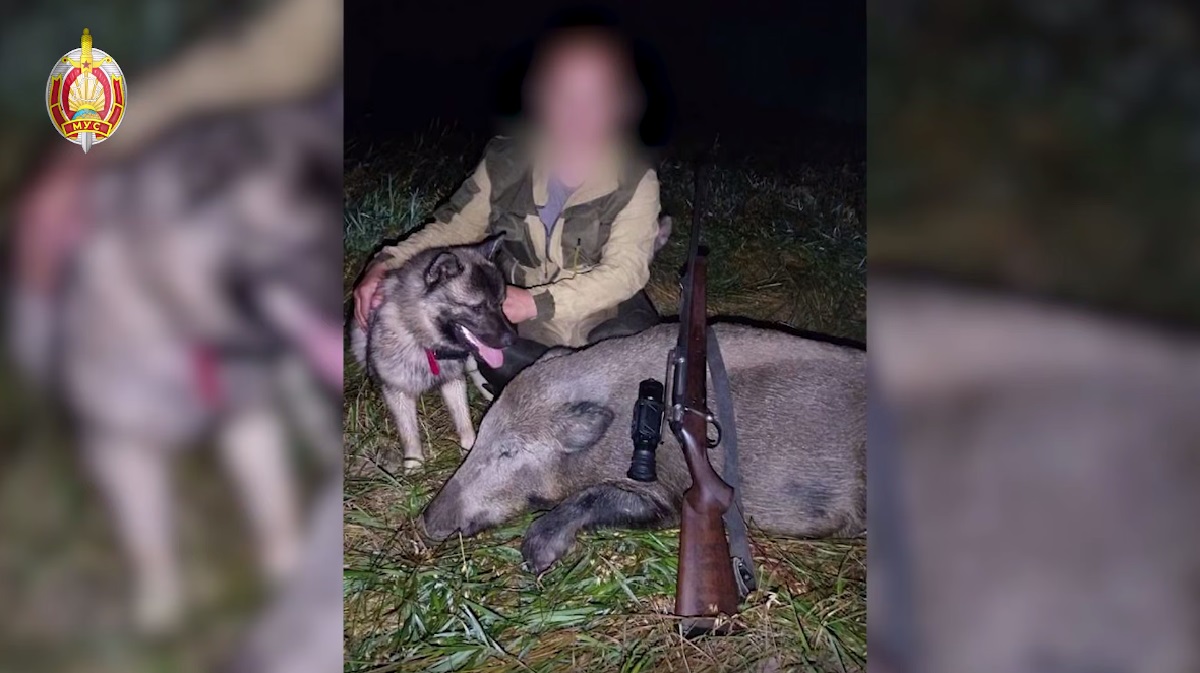 охота охота.jpg