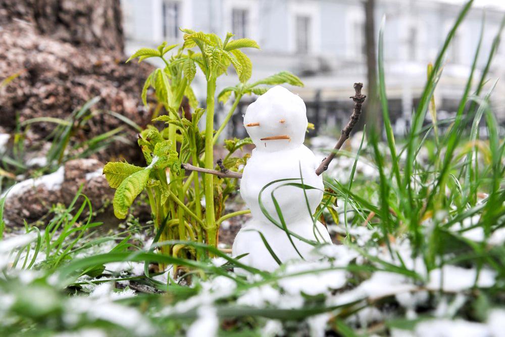 Снеговик на земле