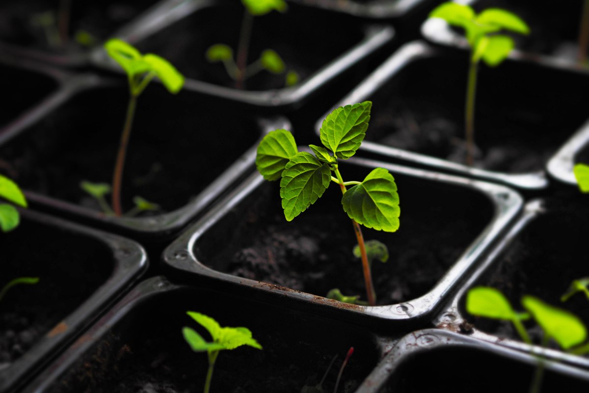 photo_2026-04-25_15-05-49 (3).jpg