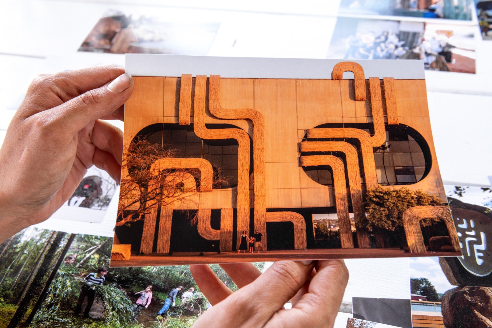 15-Работа Reliving through the nature в Бразилии.jpg