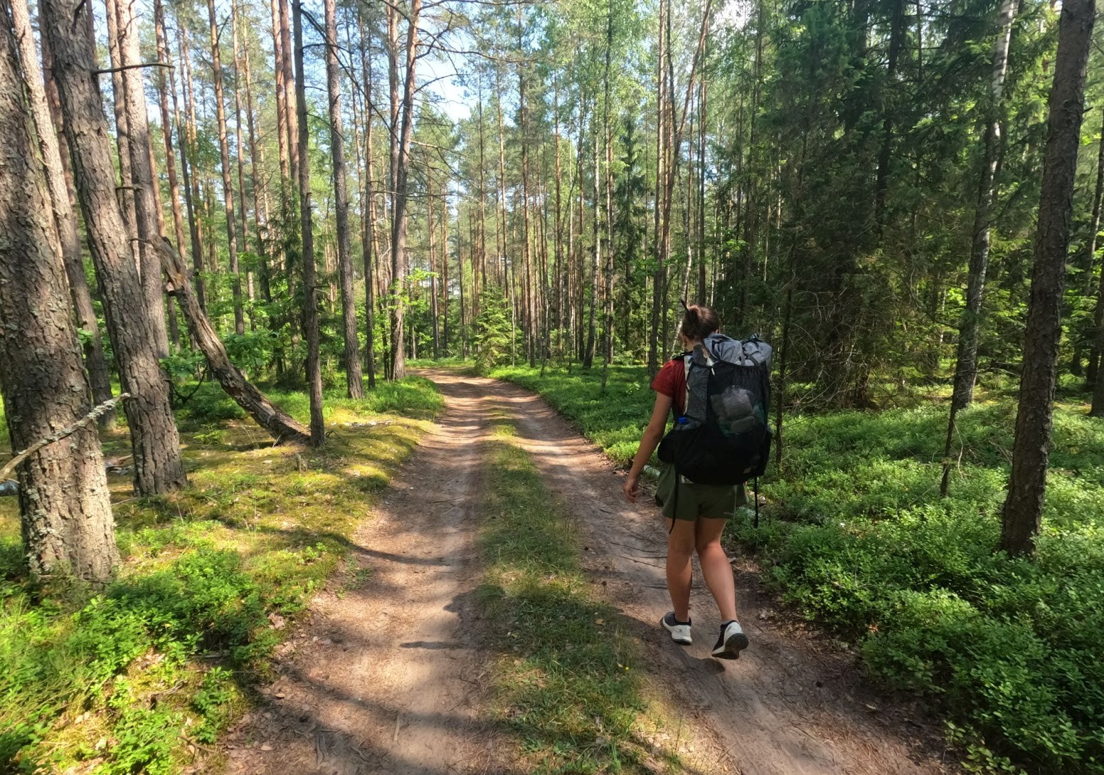 7-В одном из своих походов пара преодолела 300 км за неделю.jpg
