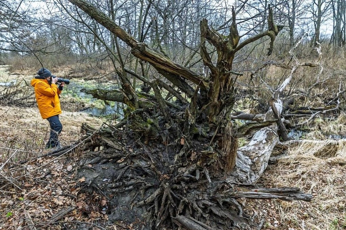 15-Пейзажи вокруг Припяти.jpg