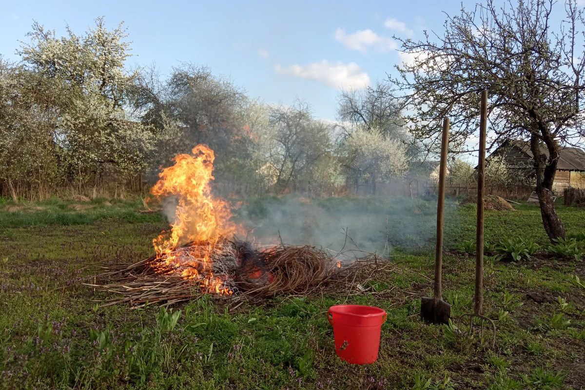 сжигание веток 1.jpg