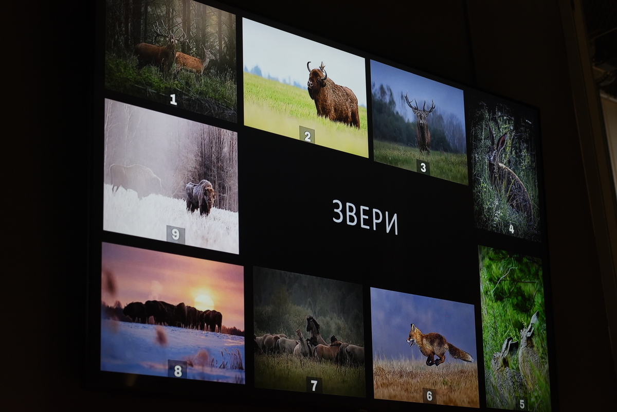 фотоконкурс