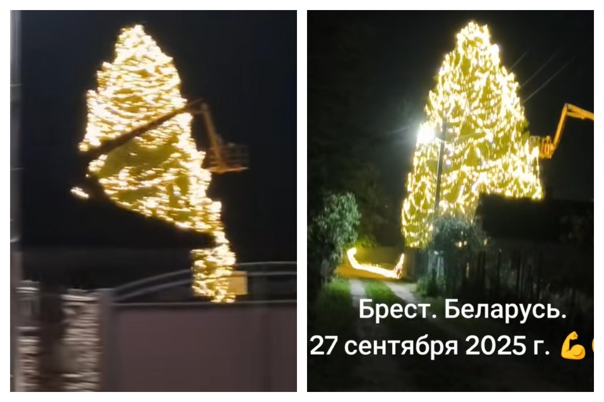 Елка в Бресте Елка в Бресте