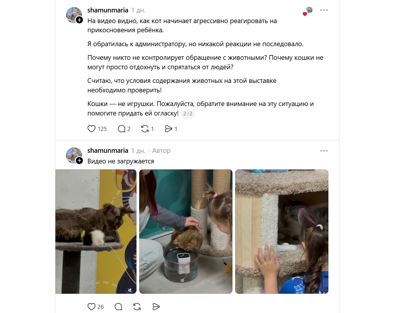 коммент_кошки коммент_кошки