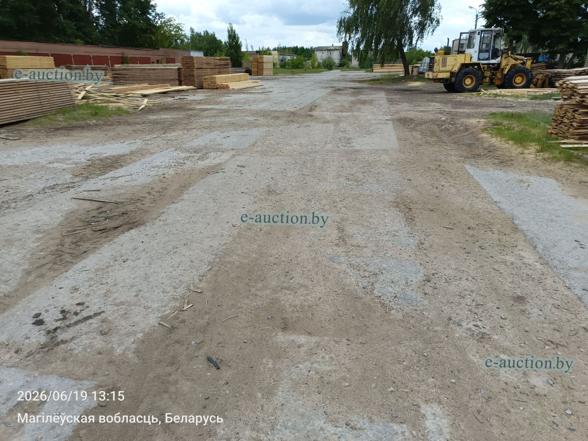 Дорога в Быхове Дорога в Быхове