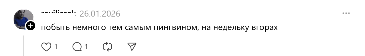 подарок-тишину1